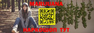 индика Лесосибирск