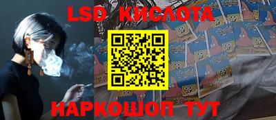 индика Лесосибирск
