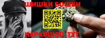 индика Лесосибирск
