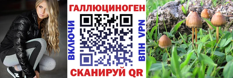 Псилоцибиновые грибы MAGIC MUSHROOMS  наркота  Губкинский 