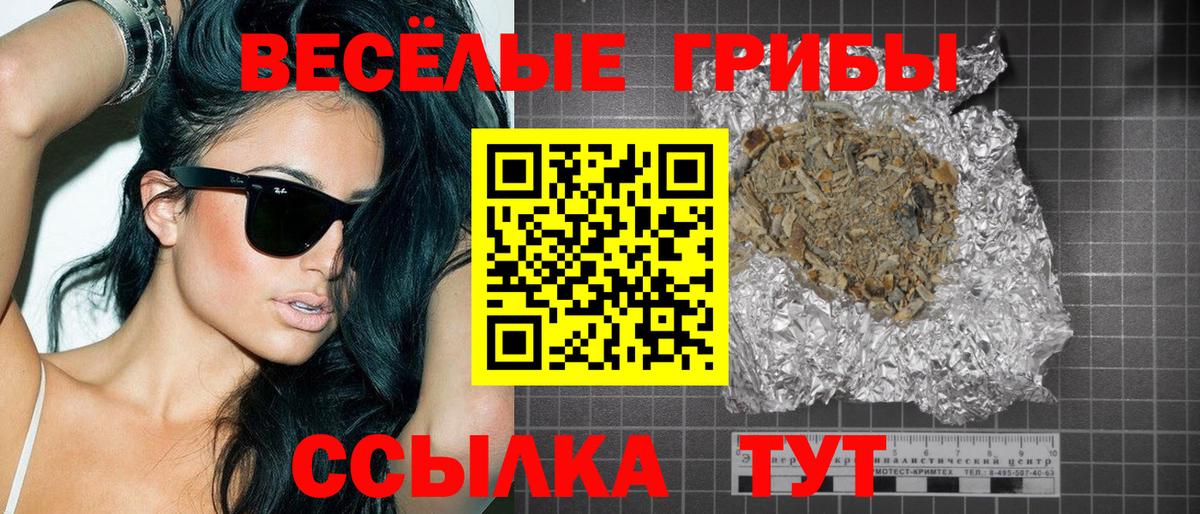 Галлюциногенные грибы Psilocybe Губкинский