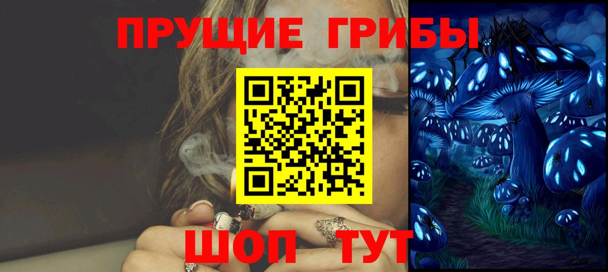 Псилоцибиновые грибы Psilocybine cubensis  Вход с VPN  Галлюциногенные грибы мицелий  Губкинский 