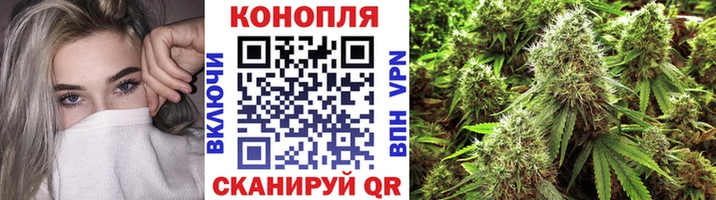 Марихуана AK-47  купить наркоту  Губкинский 